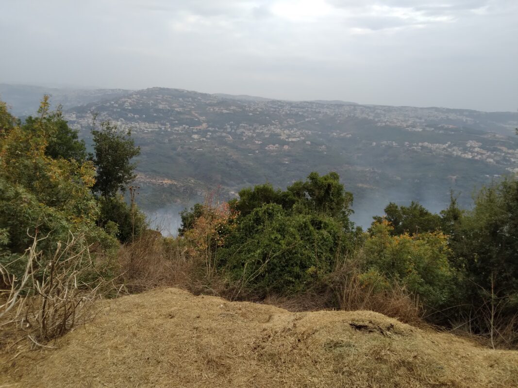 Article : The game from craps is approximately dice, and you will especially playing to the outcome of the newest place of some dice. The online game is simple, with the aim away from interacting with 21 or as close that you can with your hands, instead surpassing which matter, and beating the fresh agent’s hand in the method. Should you take advantage of this offer or people in the Sky Vegas, you will end up pleased to be aware that there are no wagering conditions affixed.