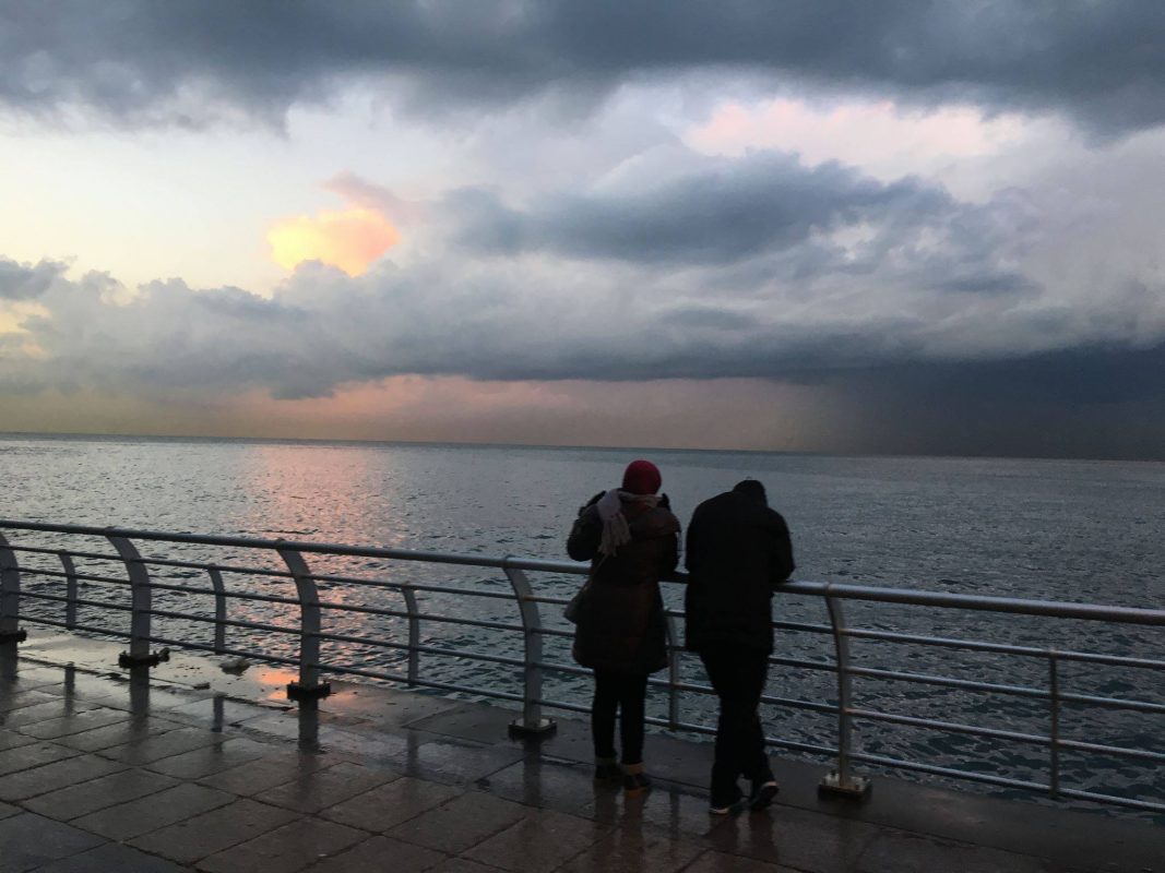 Article : Mise en jachère