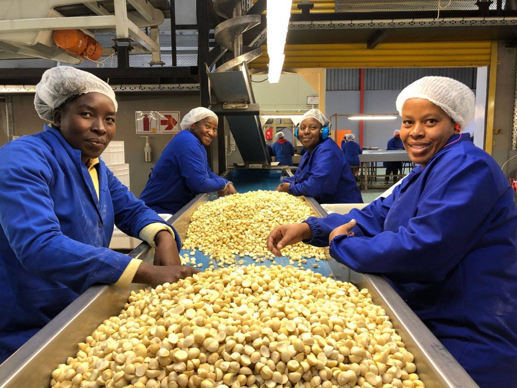 Article : De la finance  à la noix de macadamia. Success story d&rsquo;inspiration