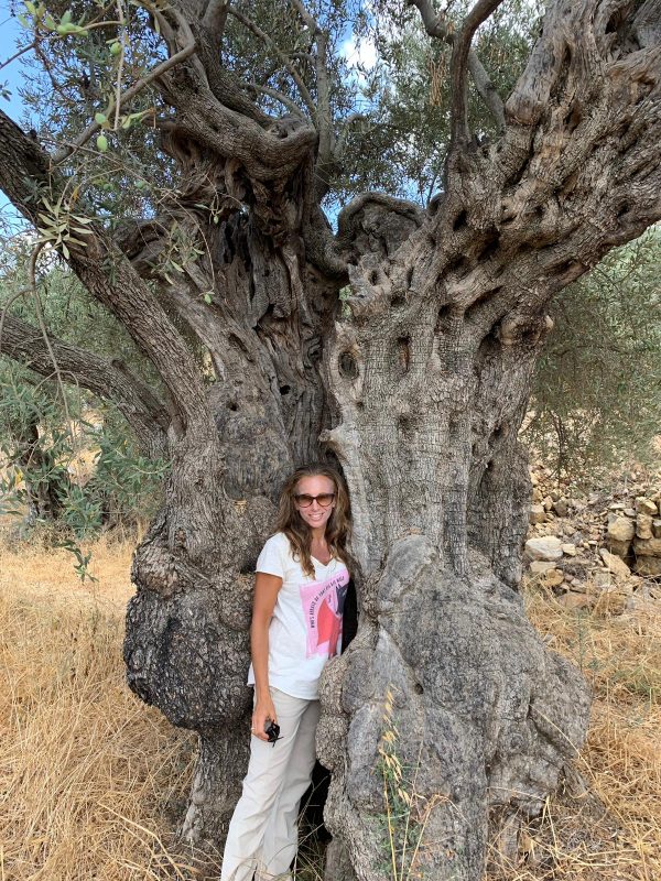 Article : Quand les oiseaux de Septembre nous appellent vers le Sud