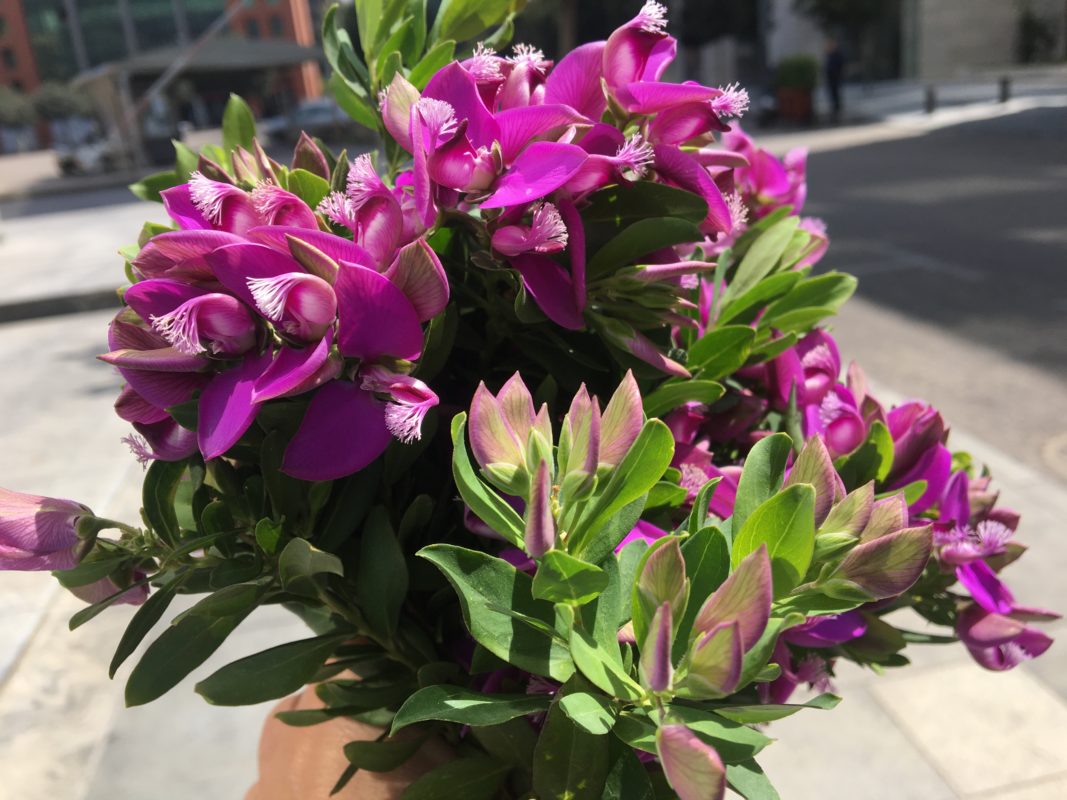 Article : Consentement