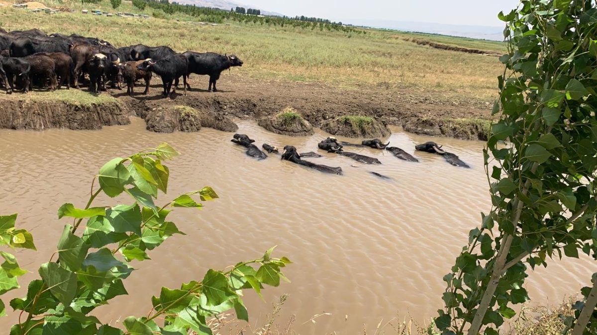 Article : Quelque chose qui s&rsquo;en va