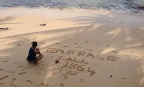 Article : Je ne suis pas une gestionnaire