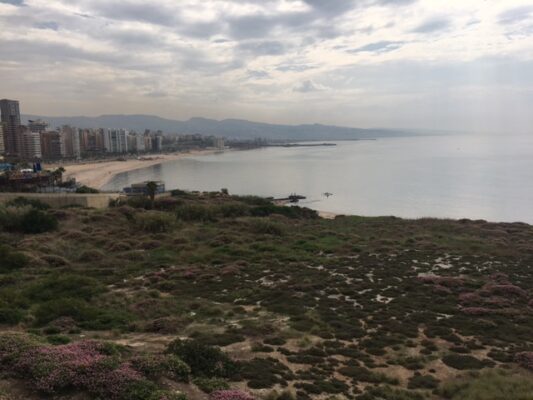 Tous mes voeux – Pensées de Beyrouth - Pensées de Beyrouth